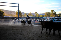 GundagaiCampdraft2017_0496