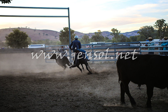 GundagaiCampdraft2017_0531