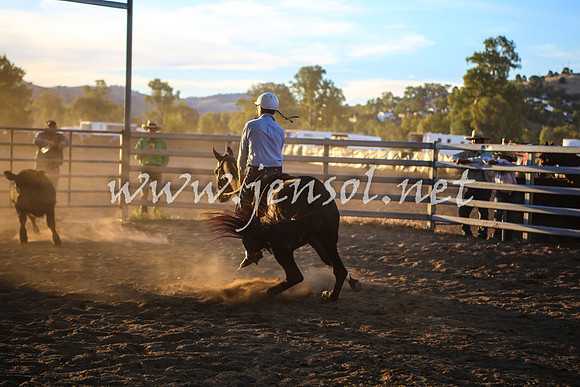 GundagaiCampdraft2017_0452
