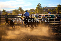 GundagaiCampdraft2017_0441