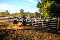 GundagaiCampdraft2017_0409