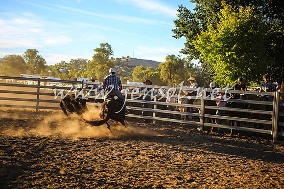 GundagaiCampdraft2017_0409