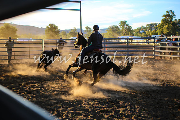 GundagaiCampdraft2017_0427