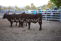 GundagaiCampdraft2017_0501