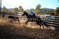 GundagaiCampdraft2017_0455