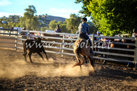 GundagaiCampdraft2017_0421