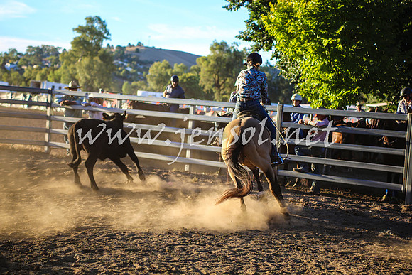 GundagaiCampdraft2017_0421