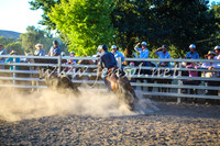 GundagaiCampdraft2017_0435