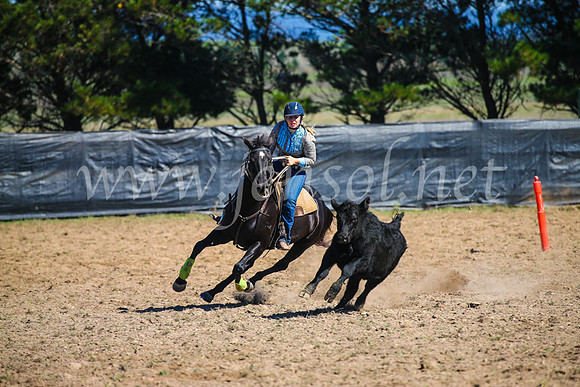 GoulburnCampdraft2017_2980