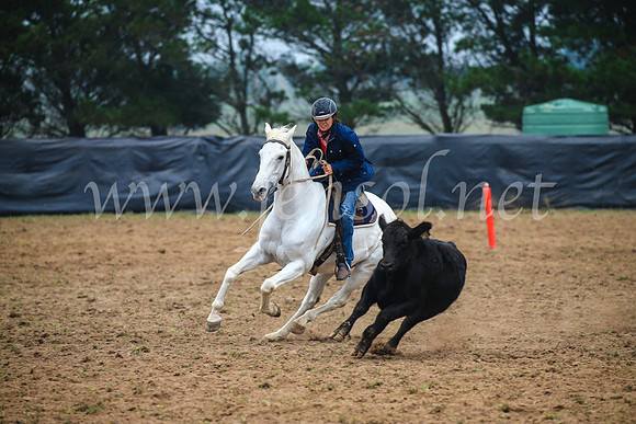 GoulburnCampdraft2017_0142