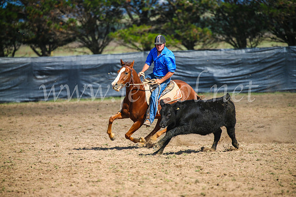 GoulburnCampdraft2017_2539