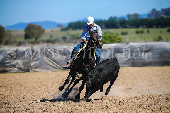 GoulburnCampdraft2017_3418