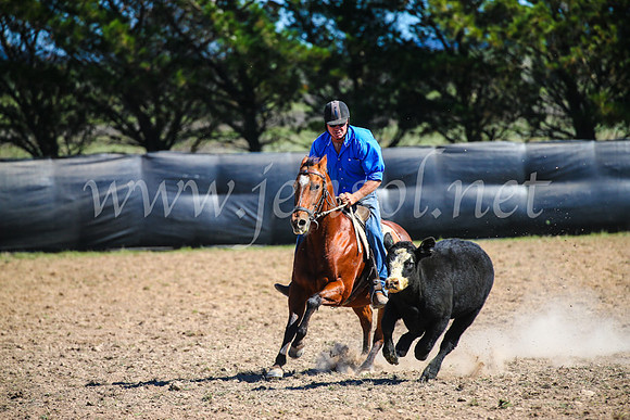 GoulburnCampdraft2017_3237