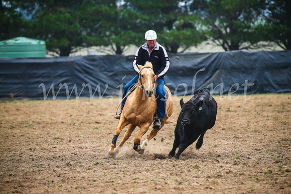 GoulburnCampdraft2017_0240