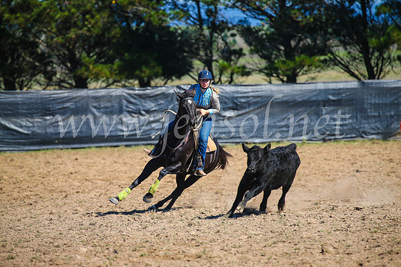 GoulburnCampdraft2017_2978