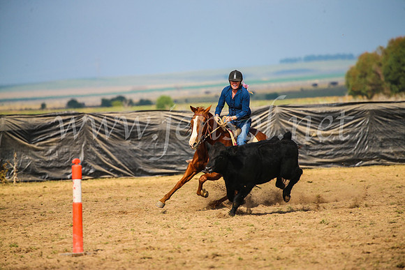 GoulburnCampdraft2017_2489