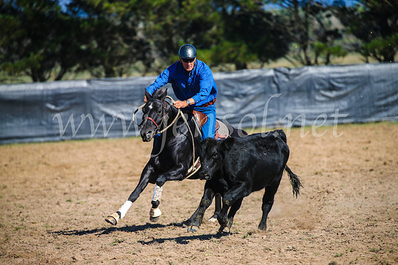 GoulburnCampdraft2017_2634