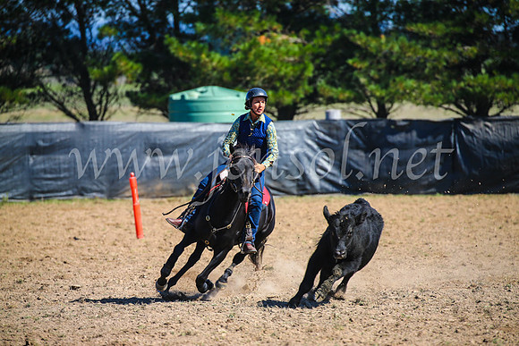 GoulburnCampdraft2017_2931