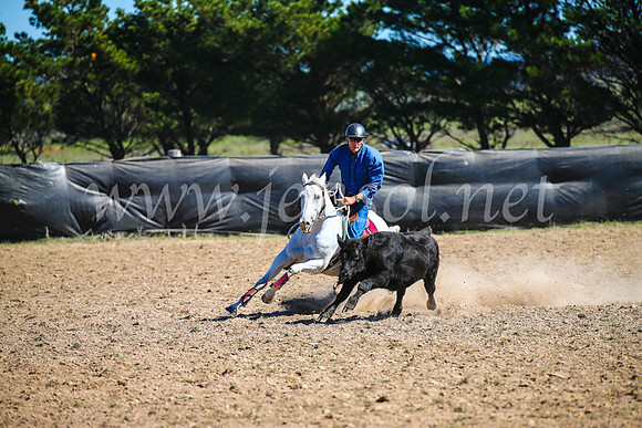GoulburnCampdraft2017_3424