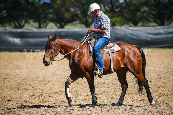 GoulburnCampdraft2017_3041