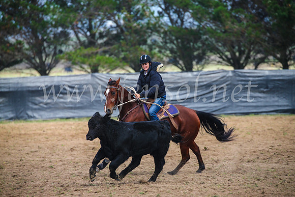 GoulburnCampdraft2017_0292