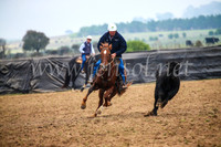 GoulburnCampdraft2017_0239