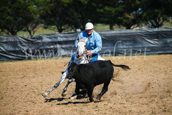 GoulburnCampdraft2017_2689