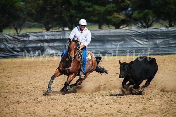 GoulburnCampdraft2017_2426