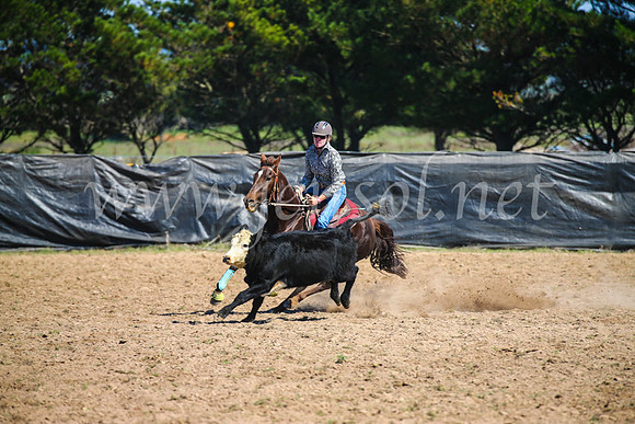 GoulburnCampdraft2017_3043