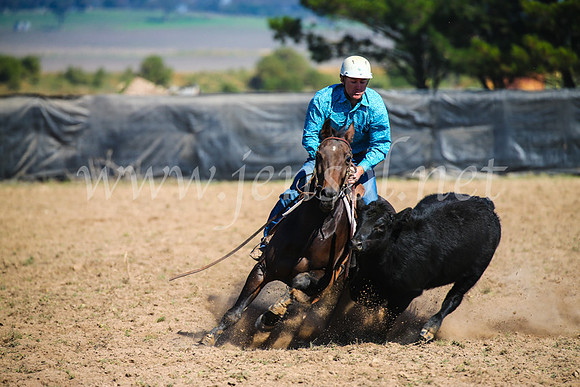 GoulburnCampdraft2017_2927