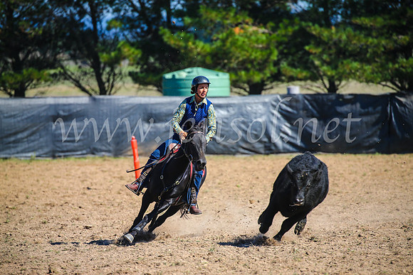 GoulburnCampdraft2017_2936