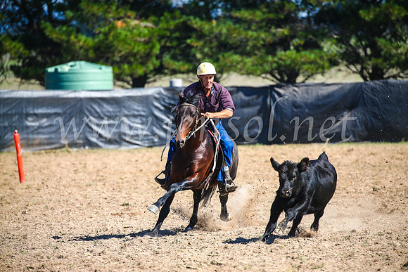GoulburnCampdraft2017_2861