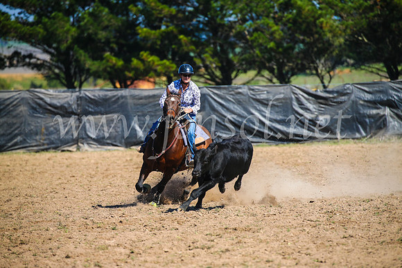 GoulburnCampdraft2017_3004