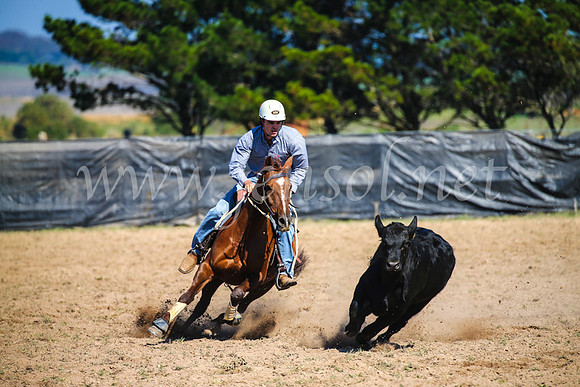 GoulburnCampdraft2017_2702
