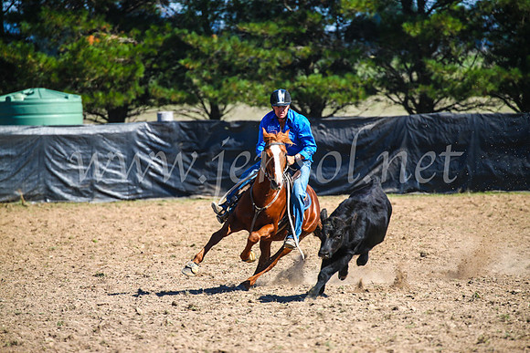 GoulburnCampdraft2017_2888