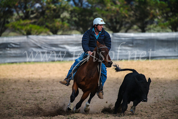 GoulburnCampdraft2017_2444