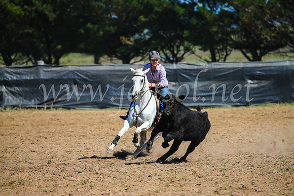 GoulburnCampdraft2017_2984