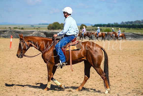 GoulburnCampdraft2017_3108