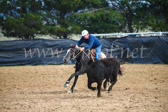 GoulburnCampdraft2017_0347