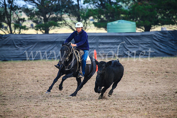 GoulburnCampdraft2017_0314