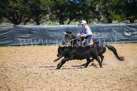 GoulburnCampdraft2017_2872
