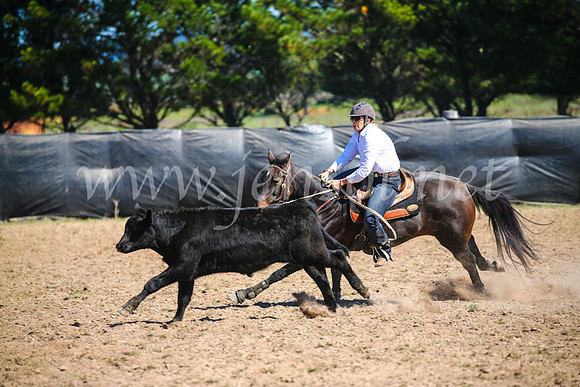 GoulburnCampdraft2017_3176