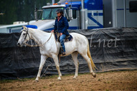 GoulburnCampdraft2017_0151