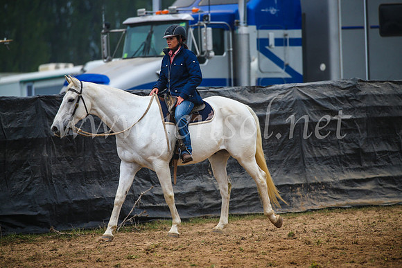 GoulburnCampdraft2017_0151