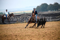 GoulburnCampdraft2017_0159