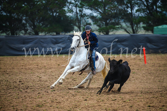 GoulburnCampdraft2017_0136