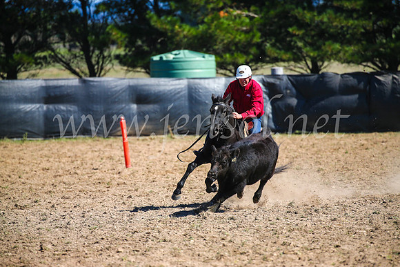 GoulburnCampdraft2017_3117