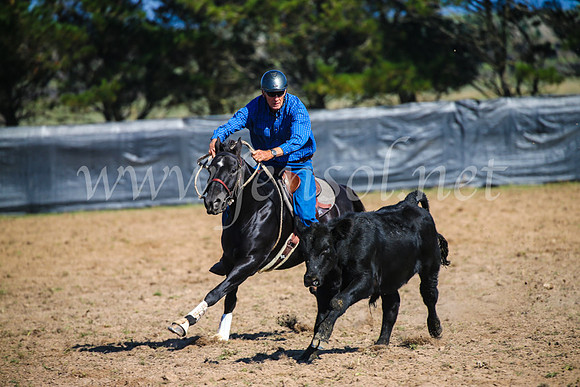 GoulburnCampdraft2017_2635