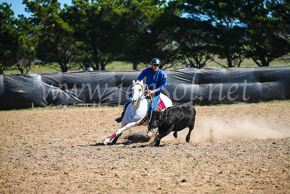 GoulburnCampdraft2017_3425