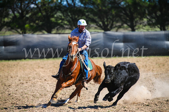 GoulburnCampdraft2017_3319